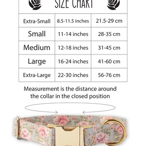 May include: A floral dog collar with a gold-colored buckle and hardware. The collar is light gray with pink roses. A size chart is displayed above the collar, with measurements in inches and centimeters for extra-small to extra-large sizes.