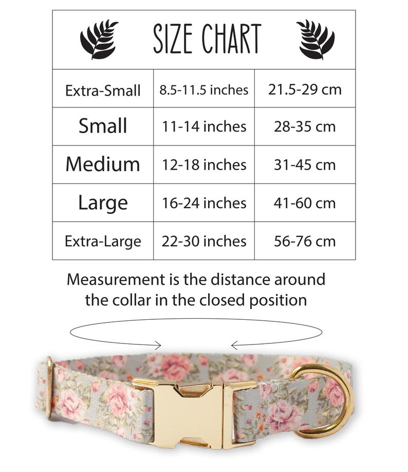 May include: A floral dog collar with a gold-colored buckle and hardware. The collar is light gray with pink roses. A size chart is displayed above the collar, with measurements in inches and centimeters for extra-small to extra-large sizes.