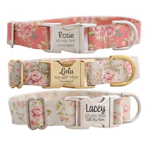 Vintage Roses Personalized Dog Collar for Girls