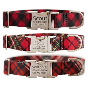 May include: Three red and black plaid dog collars with silver buckles. The buckles are engraved with the names "Scout", "Holly", and "Scotchie" along with phone numbers and messages.