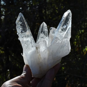Può includere: Un gruppo di cristalli di quarzo trasparente con punte affilate. I cristalli sono tenuti in una mano, mostrando la loro qualità traslucida e la formazione naturale. Il quarzo ha una base leggermente nuvolosa.