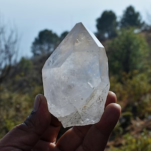 Può includere: Un esemplare di cristallo di quarzo chiaro e appuntito con una struttura esagonale e inclusioni interne visibili. La pietra presenta una superficie liscia e sfaccettata che cattura la luce, mostrando trasparenza naturale e una punta ben definita.