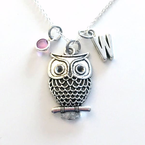 Owl Necklace / Owl Bird Jewelry / Personalized Animal Gift / Gift for Girlfriend Birthday Present / Large Statement Long Short Chain her