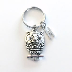 Owl Keyring, Owl Key Chain, Silver Bird Charm Jewelry, Teacher Keychain, Personalized Gifts for professor birthday present Christmas her him image 1