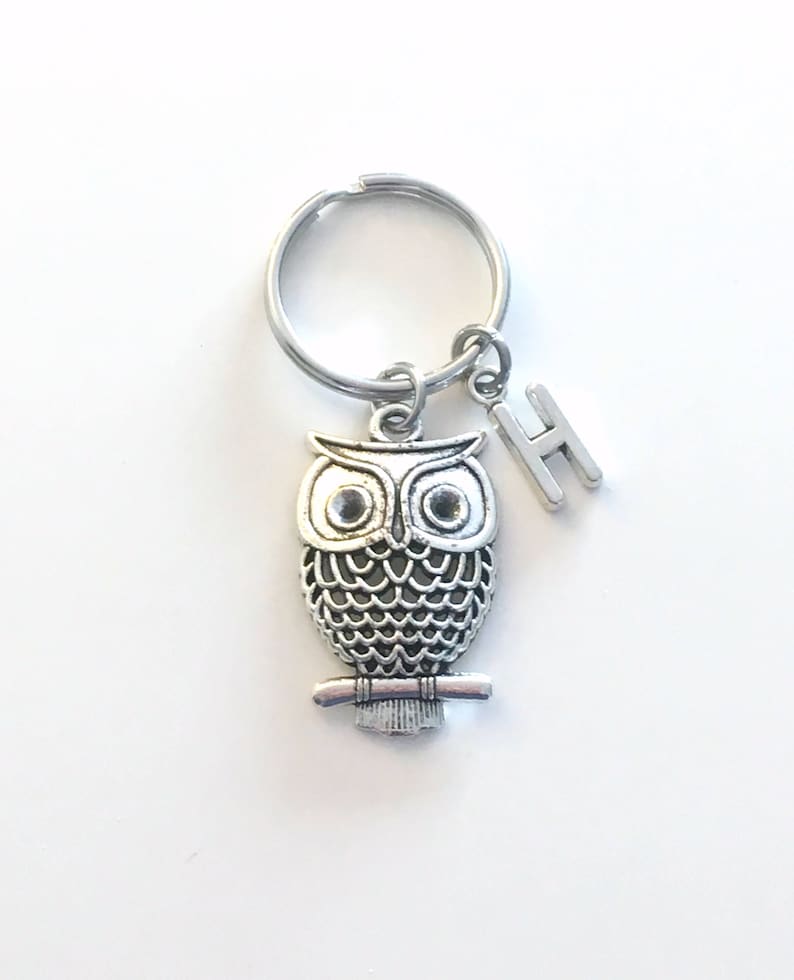 Owl Keyring, Owl Key Chain, Silver Bird Charm Jewelry, Teacher Keychain, Personalized Gifts for professor birthday present Christmas her him image 1