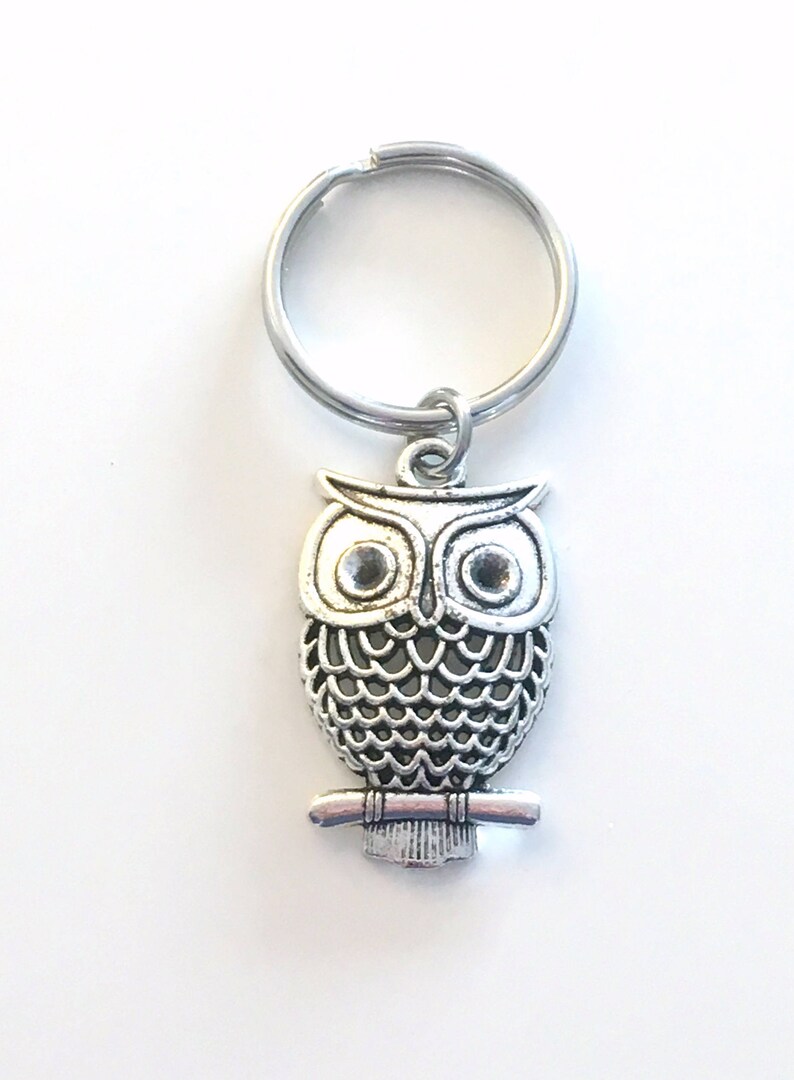 Owl Keychain Bird Keyring Naturalist Key Chain Gift for Etsy