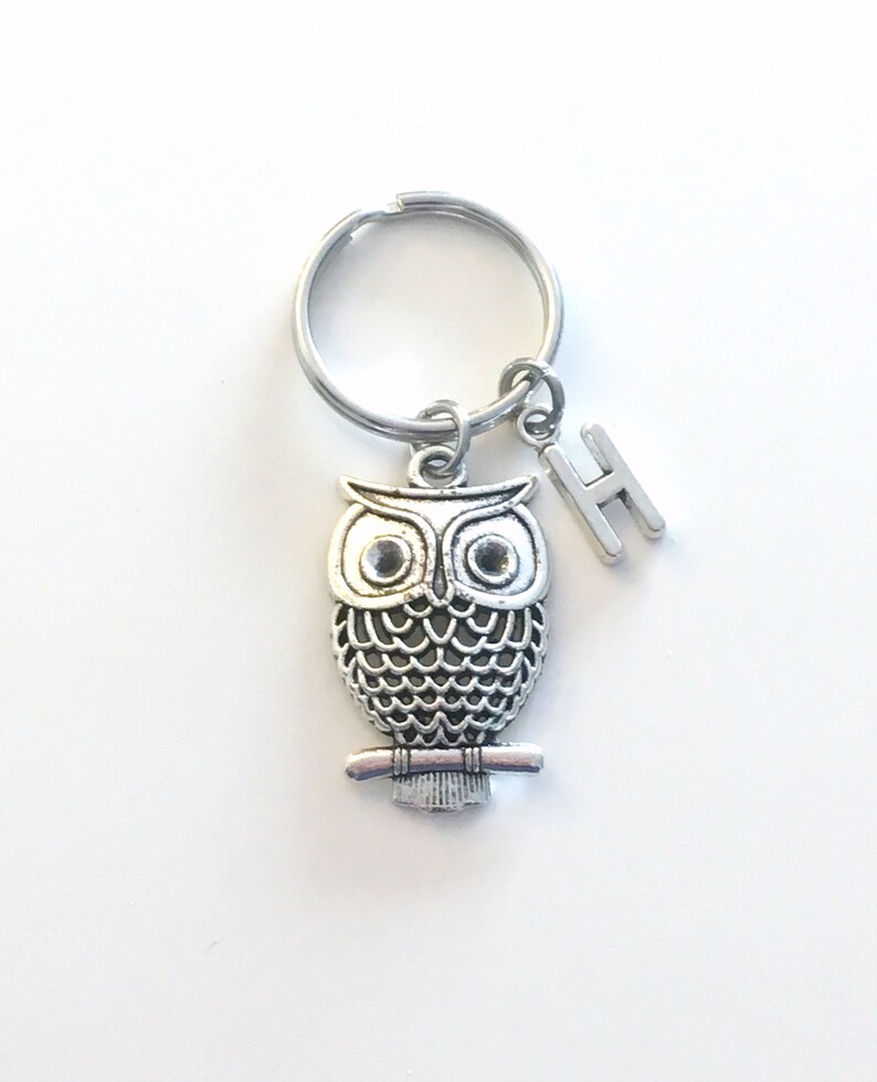 Owl Keyring, Owl Key Chain, Silver Bird Charm Jewelry, Teacher Keychain, Personalized Gifts for professor birthday present Christmas her him image 8