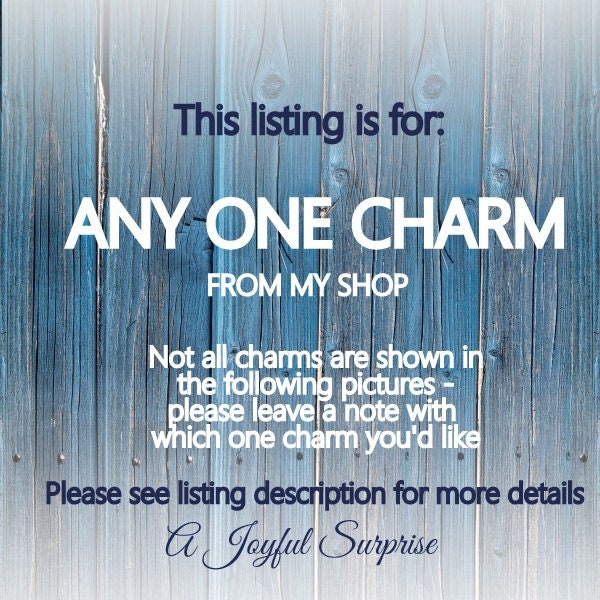 Silver Charm Add on any charm from my shop to your purchase image 1