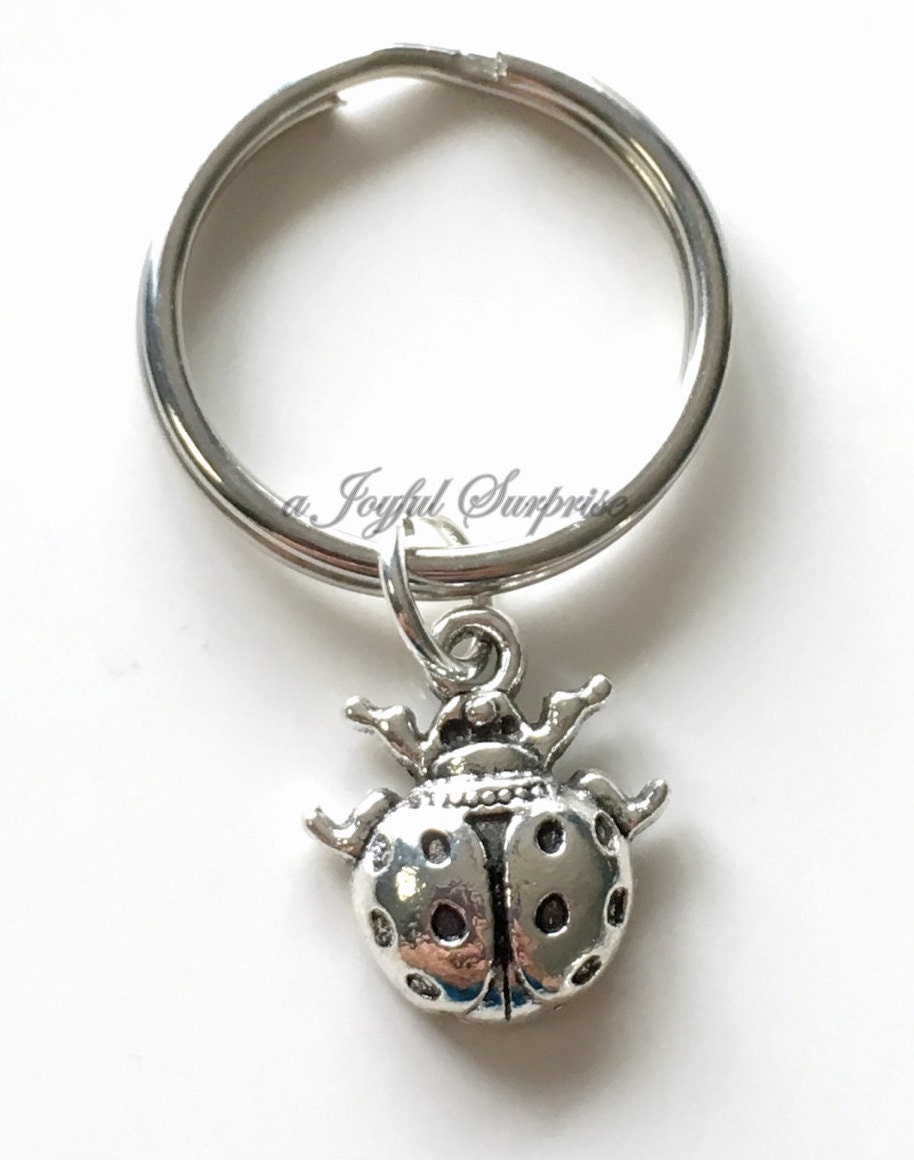 Ladybug Keychain Silver Lady Bug Keyring Lady Bugs Key Chain Etsy