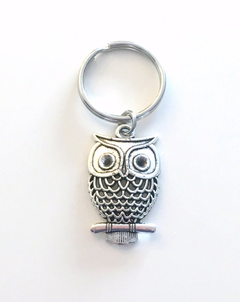 Owl Keyring, Owl Key Chain, Silver Bird Charm Jewelry, Teacher Keychain, Personalized Gifts for professor birthday present Christmas her him image 4