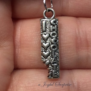 Camping Charm, Add on to any of my listings, 1 single Pendant, Happy Camper, Sign, RV Trailer, Camera, Compass, Potato Chip, Beer, Chocolate image 8