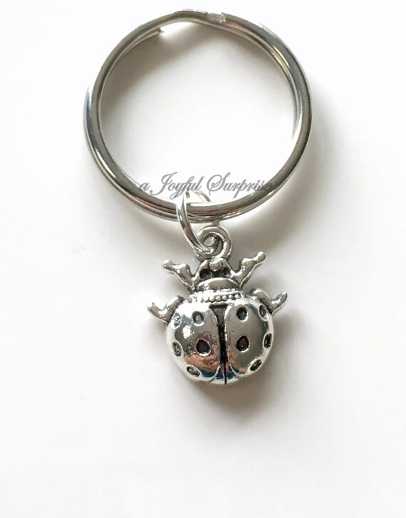 ladybug keychain