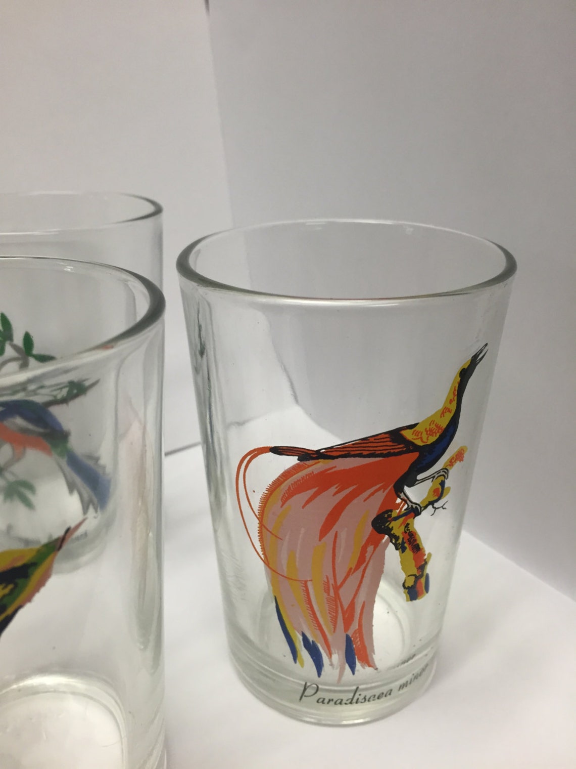 Vintage Bird Juice Glasses/Exotic Birds/ Bird Etsy