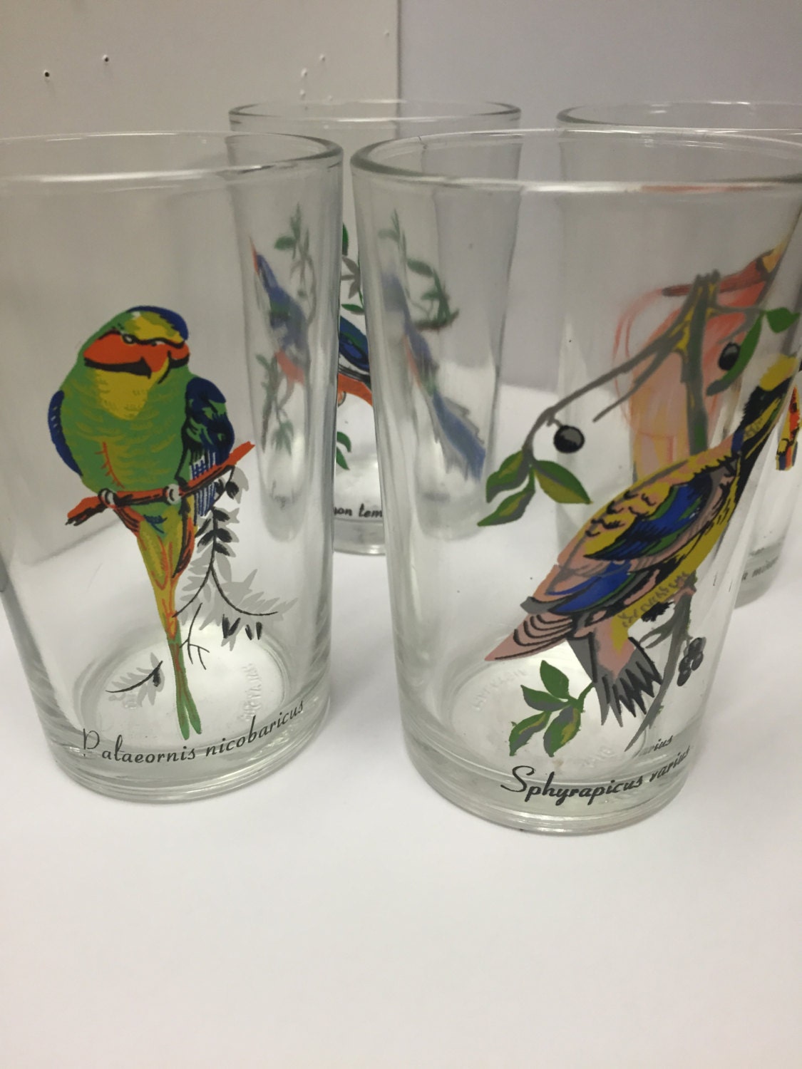 Vintage Bird Juice Glasses/Exotic Birds/ Bird | Etsy