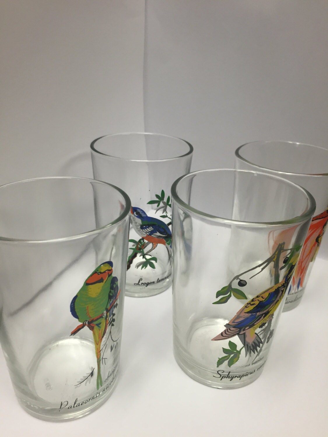 Vintage Bird Juice Glasses/Exotic Birds/ Bird Etsy