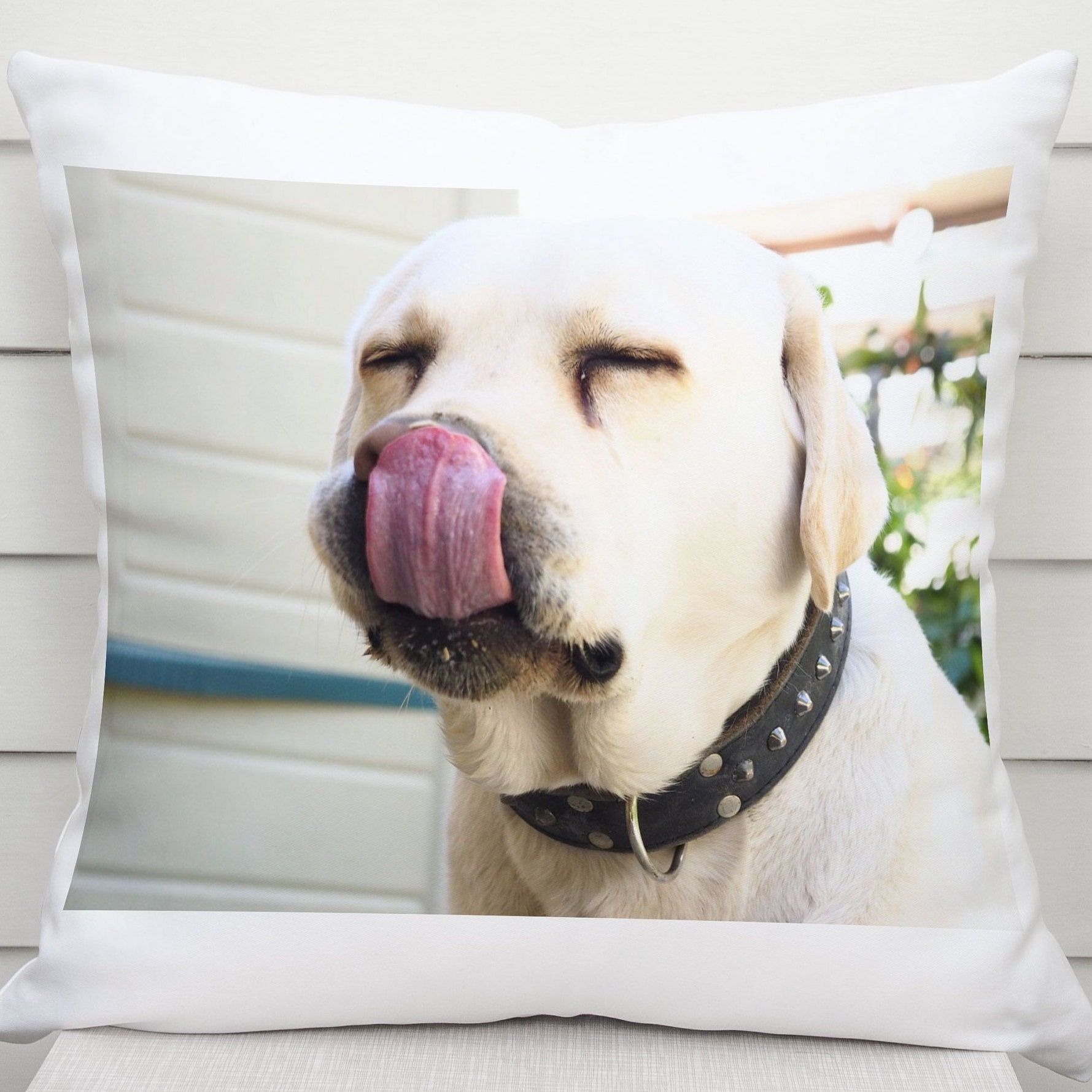 Custom Pet Photo Pillow: Dog or Cat Portrait Cushion (16x16")