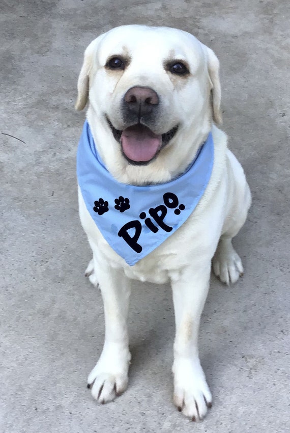 Bandana de perro personalizada pañuelo para mascotas pañuelo | Etsy México