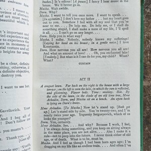 chekov, the cherry orchard, the seagull, Russian playwright, classic plays, Russian drama, the wood demon image 3