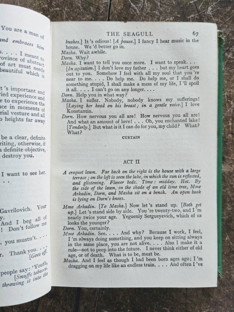 chekov, the cherry orchard, the seagull, Russian playwright, classic plays, Russian drama, the wood demon image 3