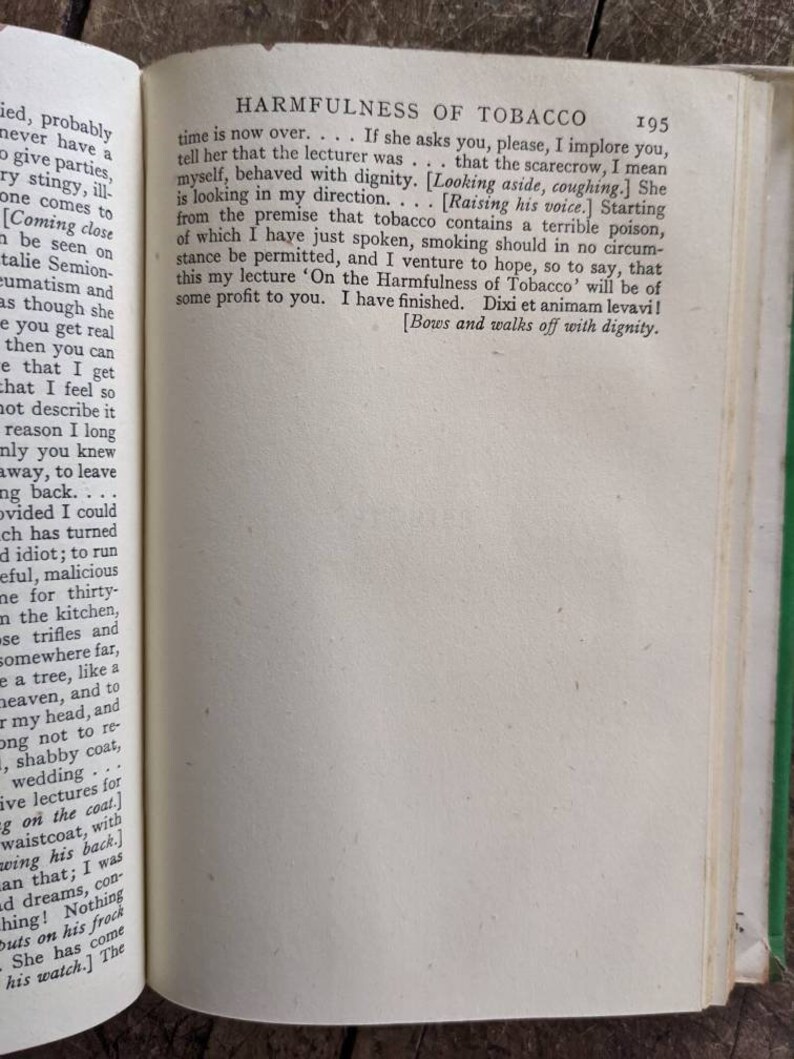 chekov, the cherry orchard, the seagull, Russian playwright, classic plays, Russian drama, the wood demon image 4