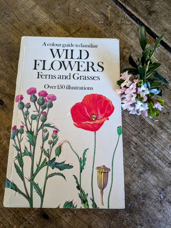 アンデルセン 詩と植物画 画集「und eine e Blume」 Vintage Wildflowers Book: 70s Flora Illustrations, Ferns & Grasses