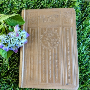 the water babies, Charles Kingsley, vintage water babies, rare water babies, Victorian novel, antique children&#39;s book, nursery decor, 1920s
