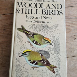 vintage bird book, woodland and hill birds, jiri Felix, birds eggs, birds nests, birdwatching book, bird watch gift, bird illustrations