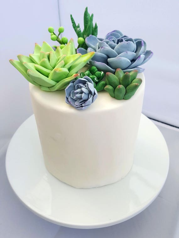 Tumbler Toppers / Succulent Topper / Plant Topper / Ice Topper