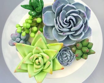 Edible Realistic Sugar Succulent Cake Toppers