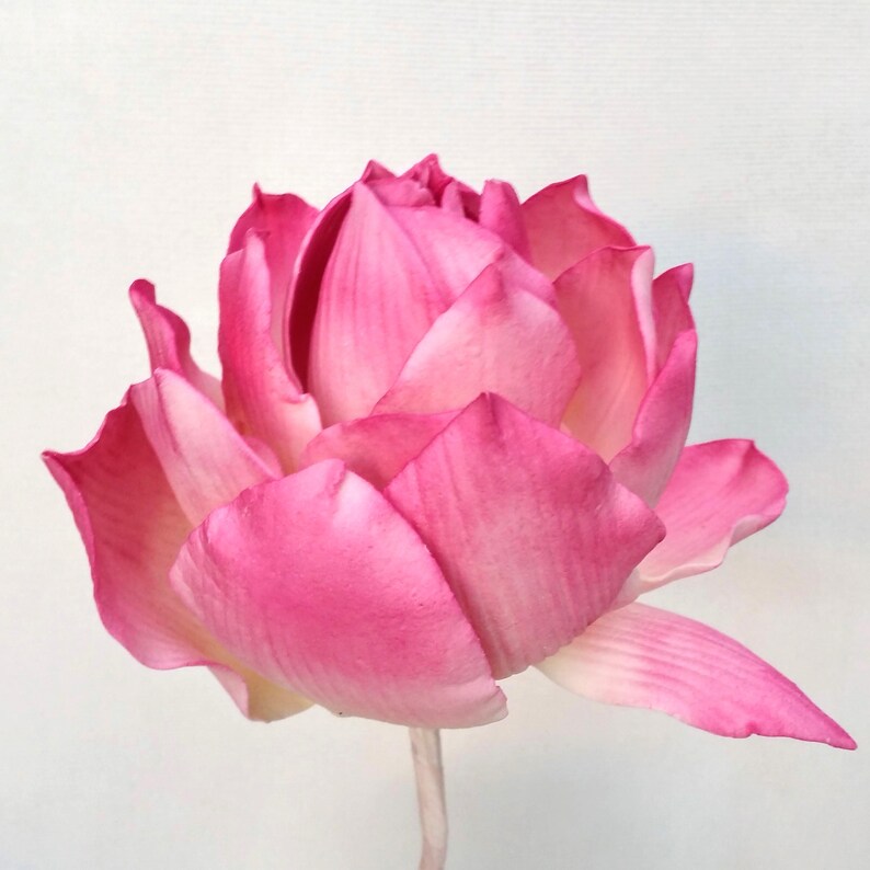 Large Sugar Water Lily Cake Topper the Victoria Etsy