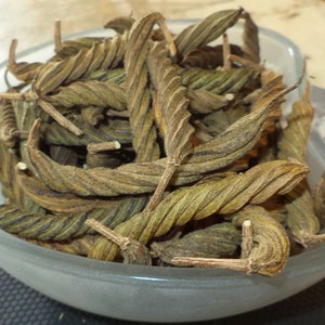 50 Grams Helicteres Isora Indian Screw Tree Flower Dried Herb Helicteres Isora L. image 1