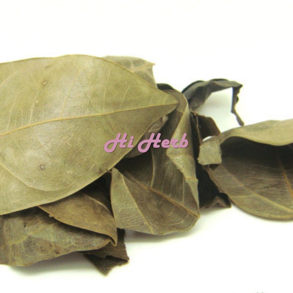 30 Grams Tiliacora Triandra Diels Dried Leaves Leaf Powder Organic Dried Herb Bamboo Grass