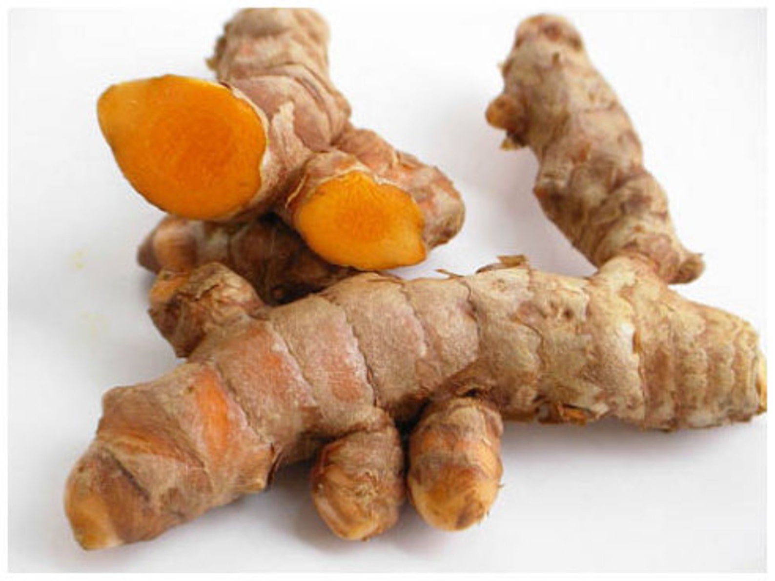 3 Rhizomes Bulb Curcuma SPP Gold Turmeric Plant Root Rhizome Etsy UK