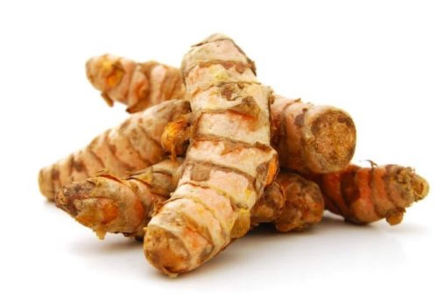 Plant Seeds & Bulbs Home & Garden 3 Fresh Turmeric Roots Curcuma Longa