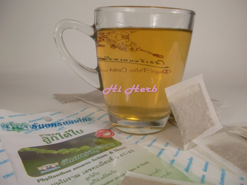 20 Teabags Phyllanthus Amarus Schum Thonn Herb Herbal Tea Powder Healing Herbs Cures Fever Antipyretic image 1