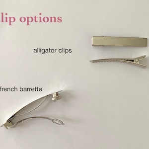 May include: Three different types of hair clips: alligator clips, a french barrette, and a straight clip. All clips are silver.
