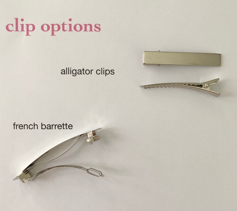May include: Three different types of hair clips: alligator clips, a french barrette, and a straight clip. All clips are silver.