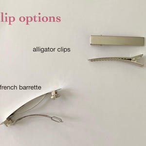 May include: Three different types of hair clips: alligator clips, a french barrette, and a straight clip. All clips are silver.