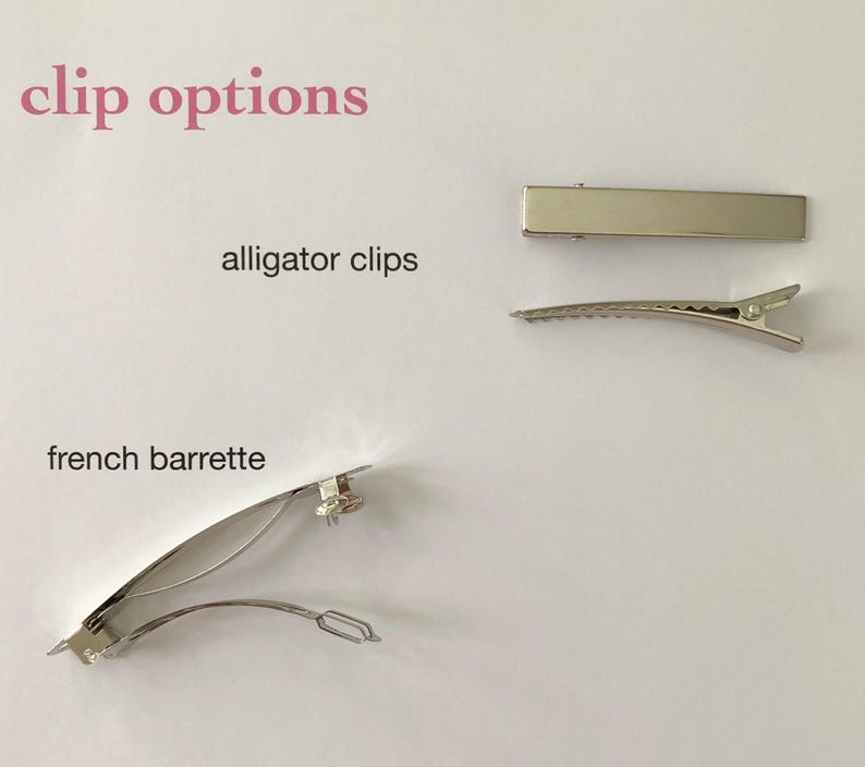 May include: Three different types of hair clips: alligator clips, a french barrette, and a straight clip. All clips are silver.