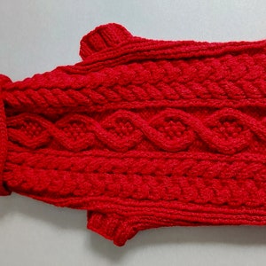 Burgundowy sweter jamnika