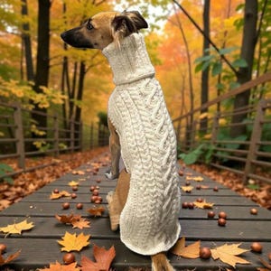 May include: A cream-colored cable knit dog sweater with a high turtleneck collar. The garment features a textured vertical cable pattern throughout the body and is designed to fit snugly around the torso of a dog, covering the back and neck area.