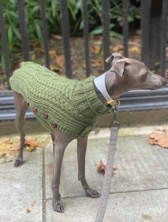 Aran Jumper for a Greyhound or Whippet 