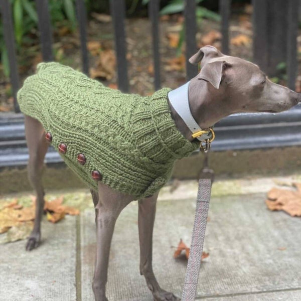 Pull Aran pour lévrier ou whippet