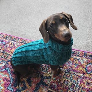 Ready Made Mini Dachshund Jumper | Hand Knitted Sausage Dog Sweater | Small Dog Clothes | Warm Winter Dog Outfit | Dachshund Clothing