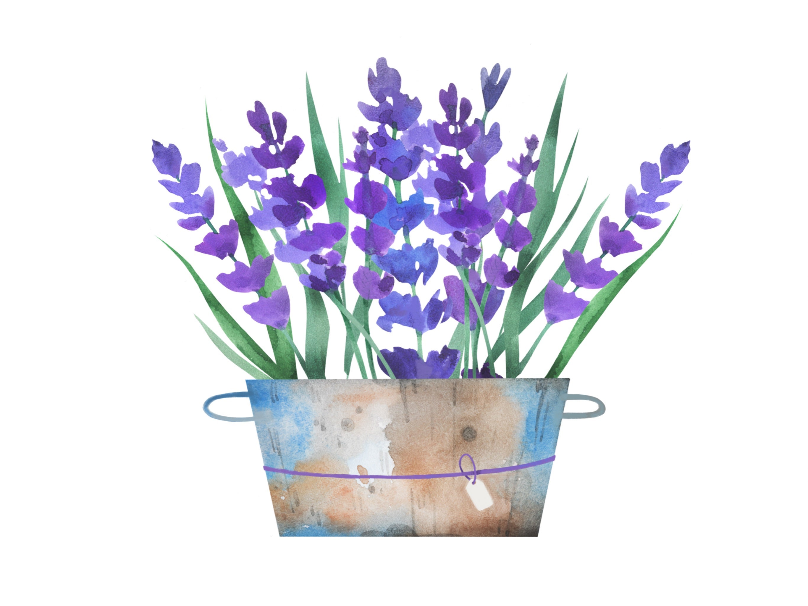 Lavender Color Palette, Color Palette, Purple, Ipad, Procreate App ...
