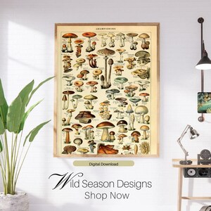 Vintage Mushroom Poster Digital Download – Adolphe Millot Scientific Illustration, Mushroom Wall Art, Mycologist Gift, Vintage Mushroom Art