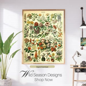 Vintage Floral Botanical Print – Adolphe Millot Illustration | Antique Flower Wall Art | Cottagecore Home Decor | Nature-Inspired Gift