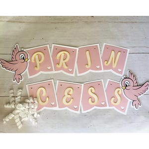 Princess Personalized Birthday Banner|Princess Happy Birthday Banner|Happy Birthday Banner Princess|Princess Party|Cinderella Party Banner