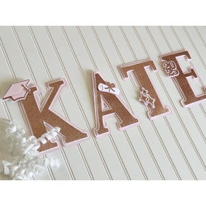 Graduation Personalized Name Banner in Pink|Custom Graduation Banner|Graduate Banner|2025 Graduation Banner|Graduation Decor|2025 Grad Party