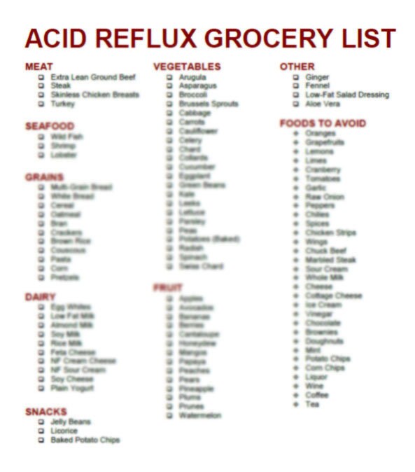 heartburn acid reflux diet grocery shopping list 2 in 1 etsy